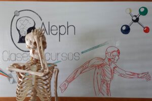 curso de apoyo 2024 medicina/nutrición/C. Medicas