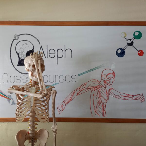 curso de apoyo 2024 medicina/nutrición/C. Medicas